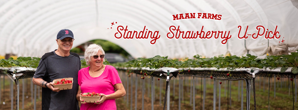 Maan Farms