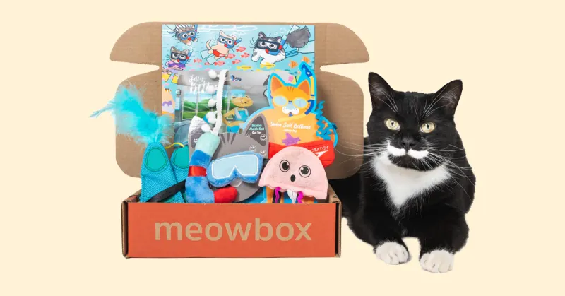 meowbox
